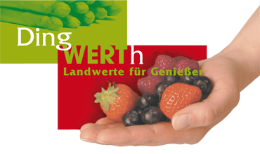 Dingwerth Logo